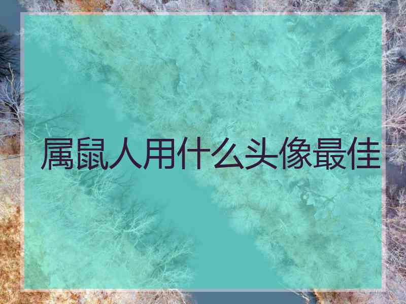 属鼠人用什么头像最佳