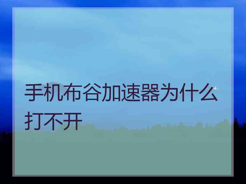 手机布谷加速器为什么打不开