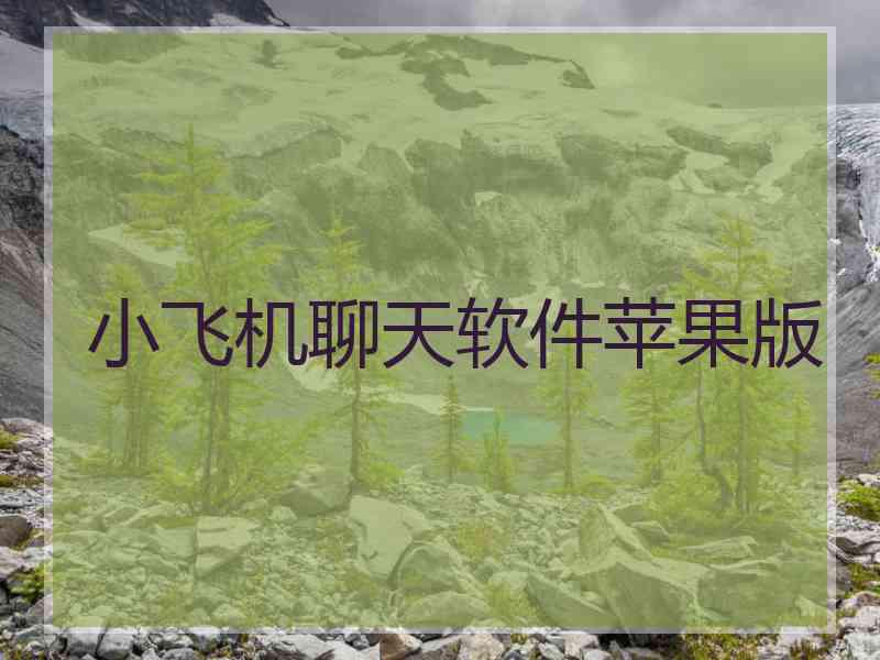 小飞机聊天软件苹果版