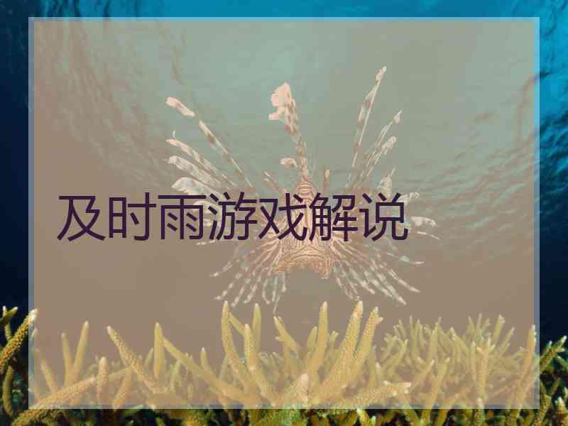 及时雨游戏解说