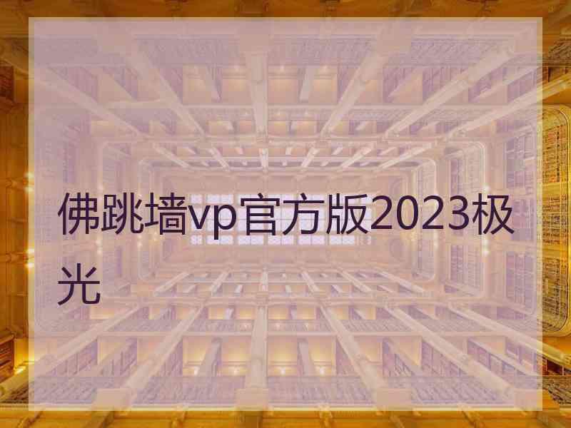 佛跳墙vp官方版2023极光