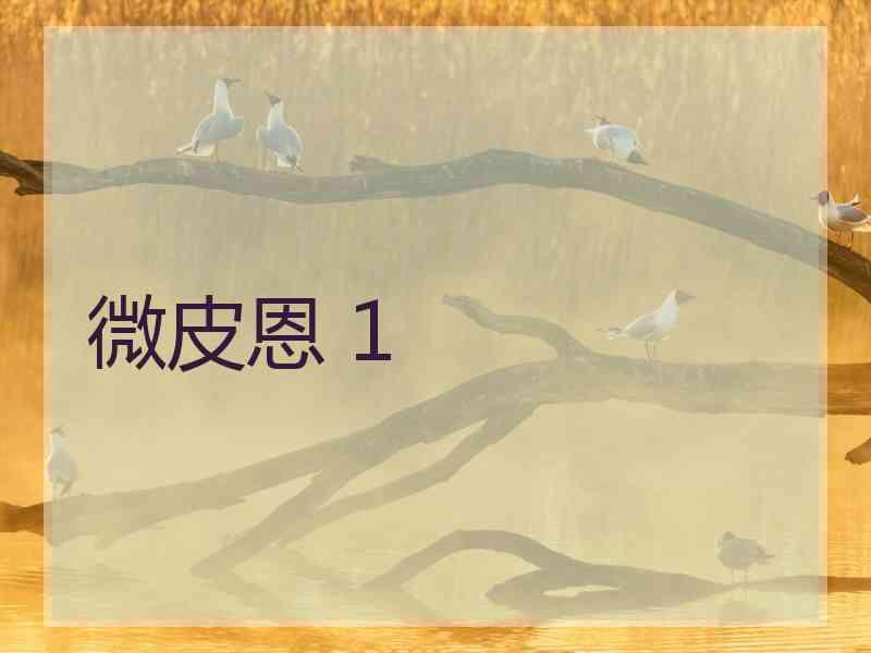 微皮恩 1