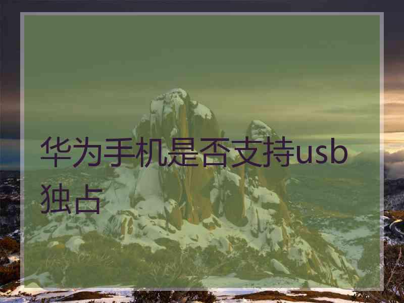 华为手机是否支持usb独占