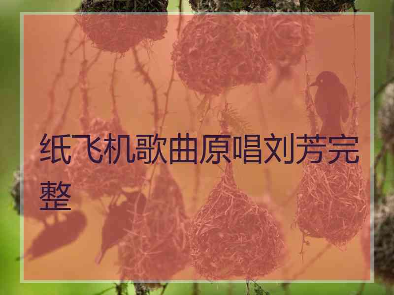 纸飞机歌曲原唱刘芳完整