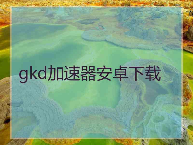 gkd加速器安卓下载