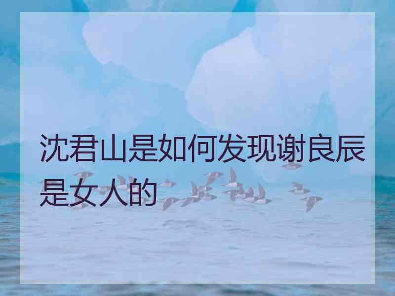 沈君山是如何发现谢良辰是女人的