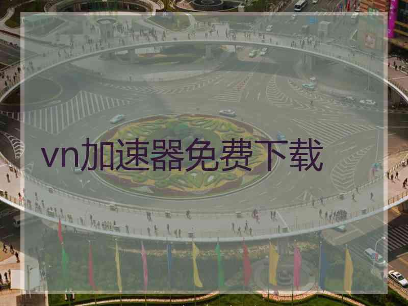 vn加速器免费下载