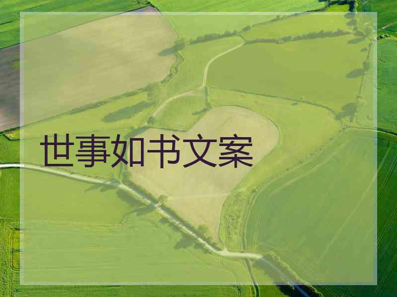 世事如书文案
