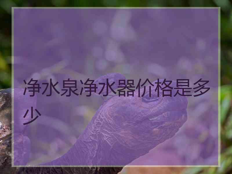 净水泉净水器价格是多少