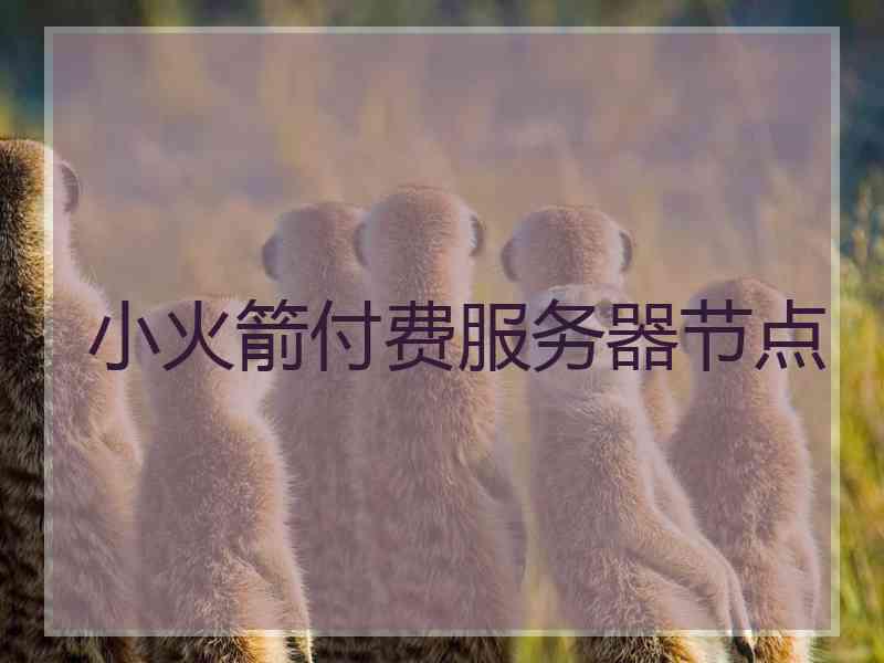 小火箭付费服务器节点