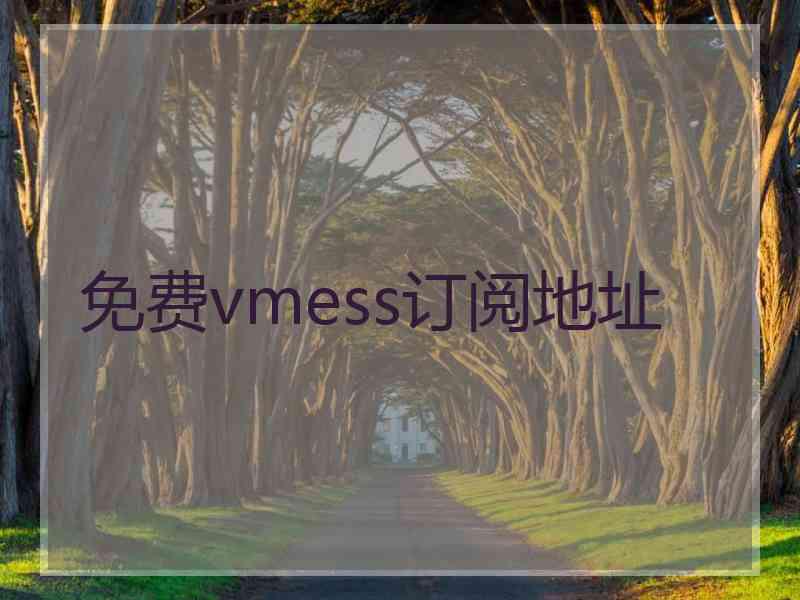 免费vmess订阅地址