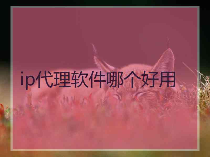 ip代理软件哪个好用