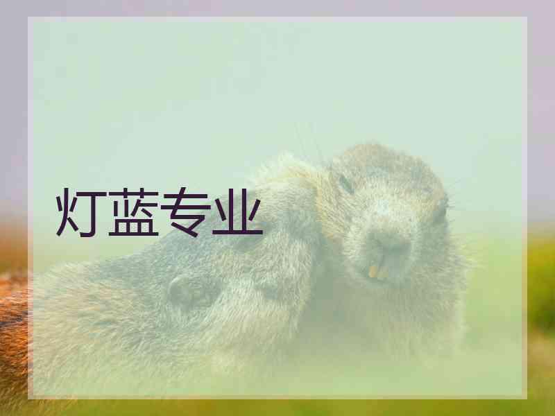 灯蓝专业