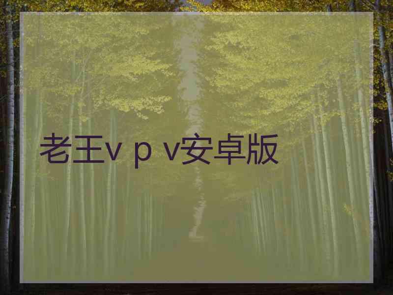 老王v p v安卓版