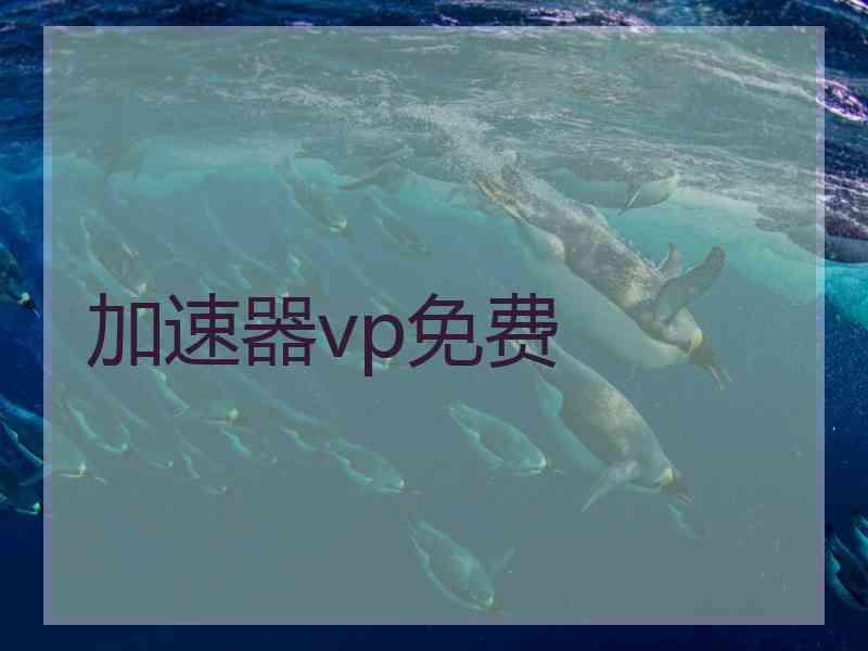 加速器vp免费