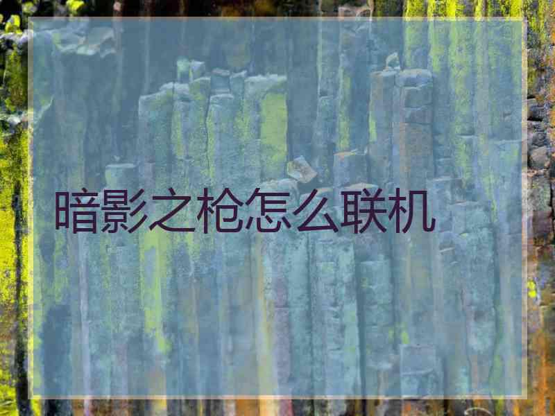 暗影之枪怎么联机