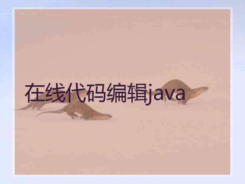 在线代码编辑java