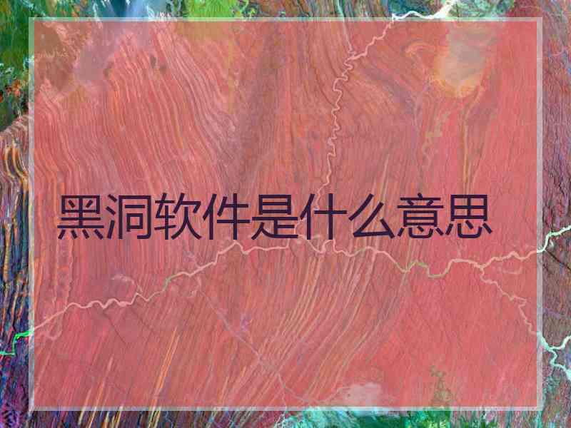 黑洞软件是什么意思