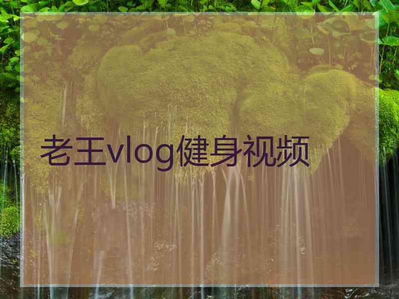 老王vlog健身视频