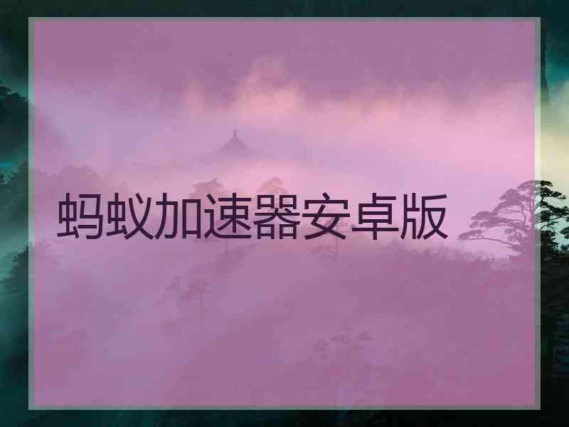 蚂蚁加速器安卓版