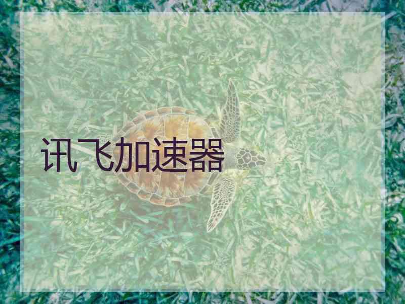 讯飞加速器