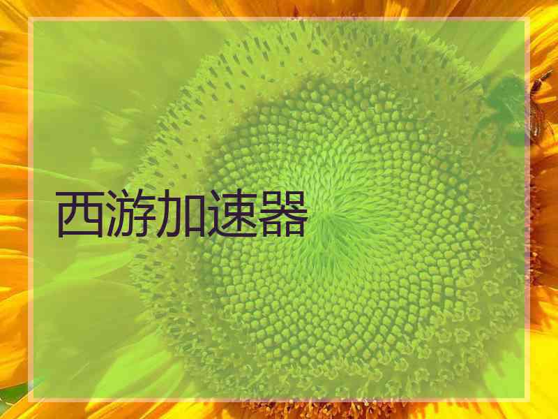 西游加速器