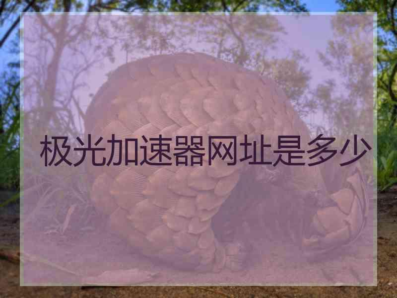 极光加速器网址是多少