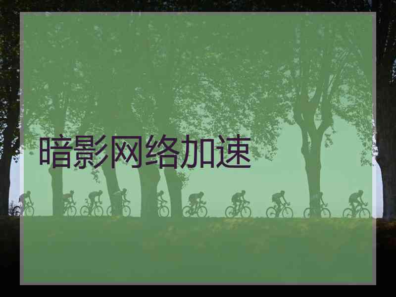 暗影网络加速