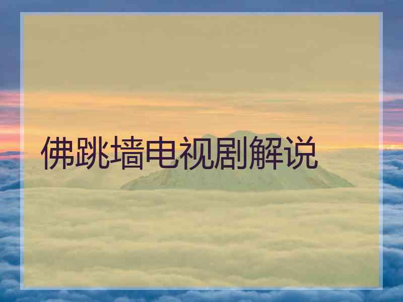 佛跳墙电视剧解说
