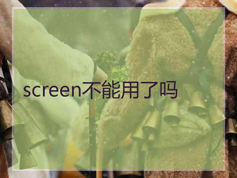 screen不能用了吗