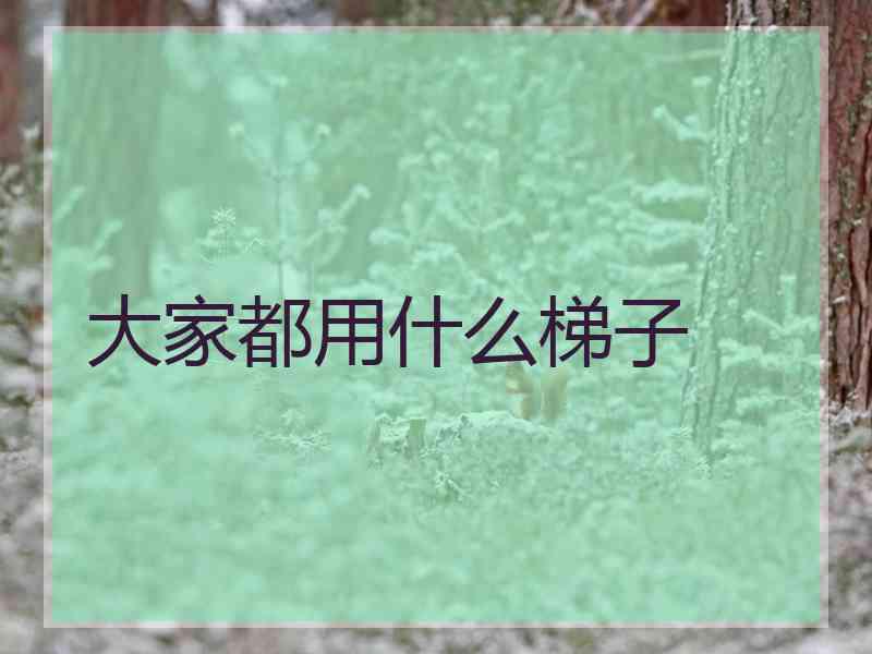 大家都用什么梯子