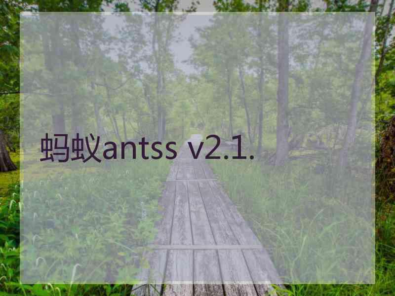 蚂蚁antss v2.1.