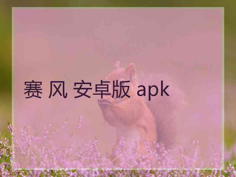 赛 风 安卓版 apk