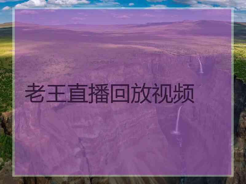 老王直播回放视频