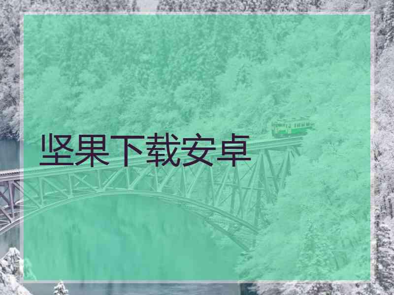 坚果下载安卓
