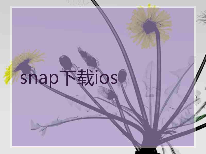snap下载ios