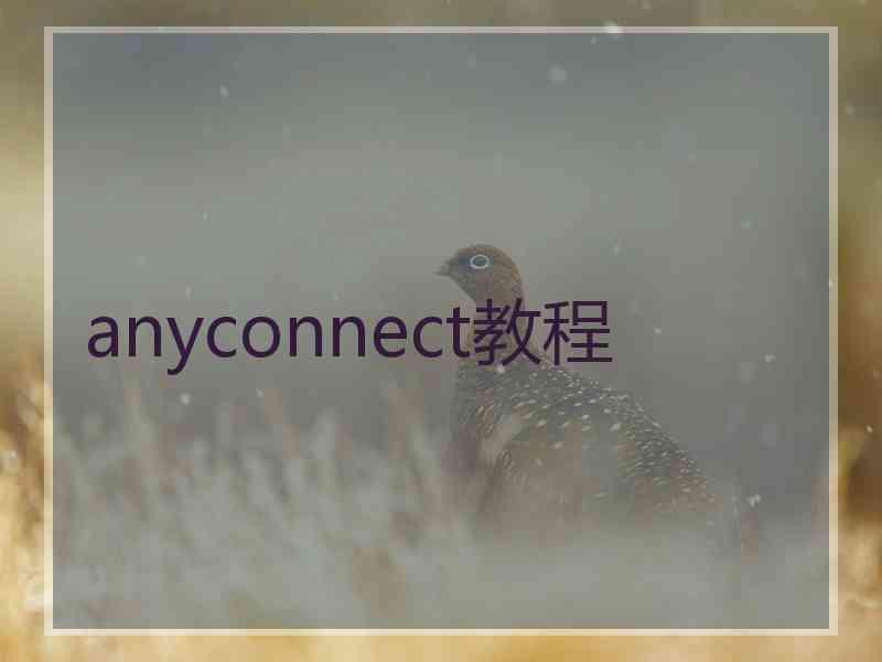 anyconnect教程