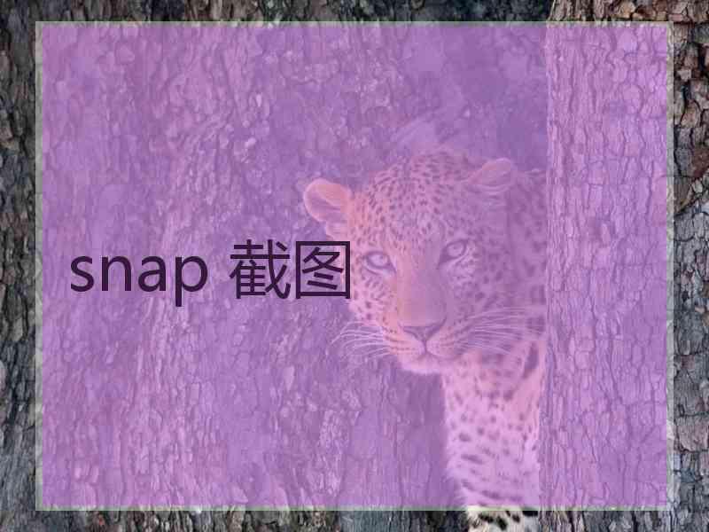 snap 截图