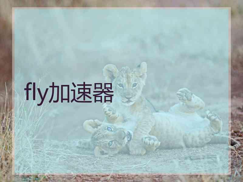 fly加速器