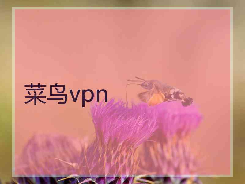 菜鸟vpn