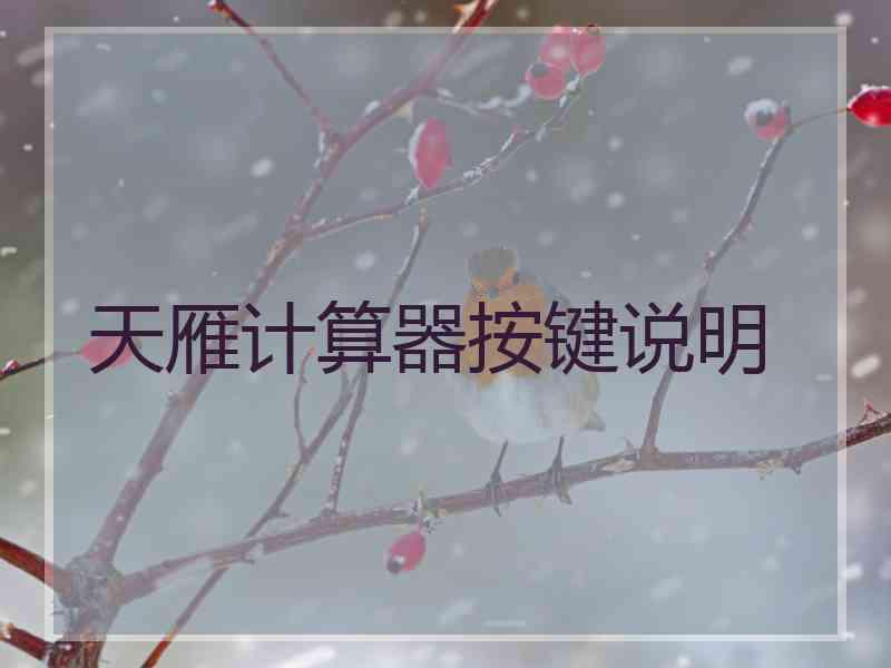 天雁计算器按键说明