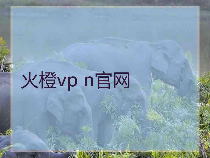 火橙vp n官网