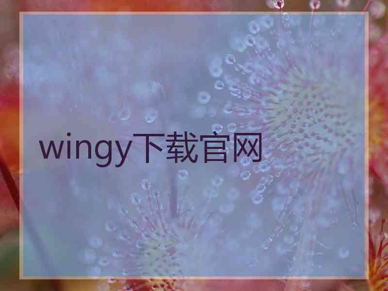 wingy下载官网
