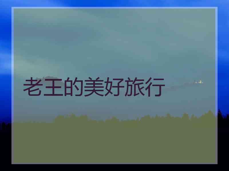 老王的美好旅行