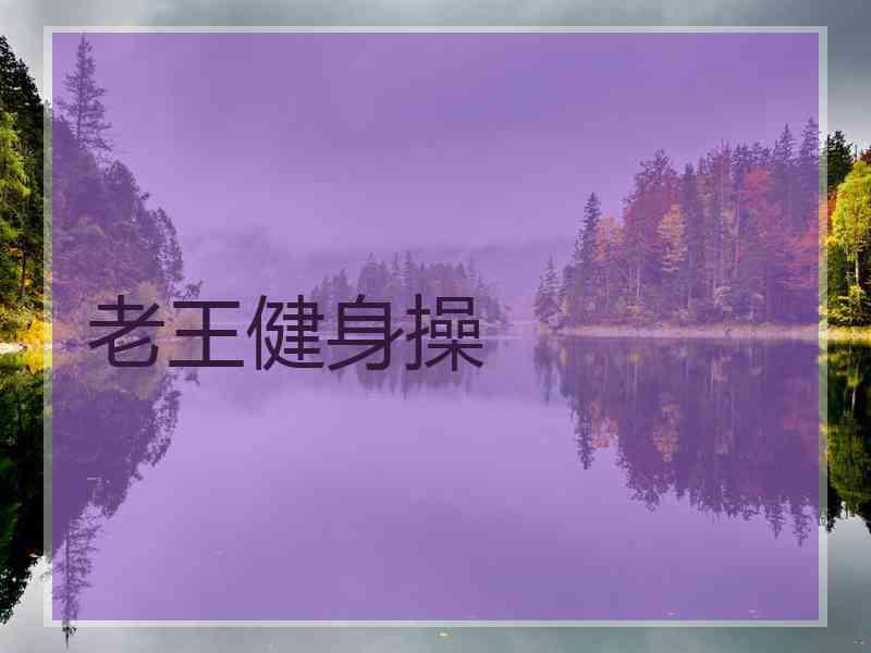 老王健身操