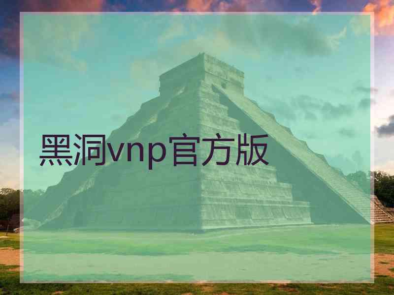 黑洞vnp官方版