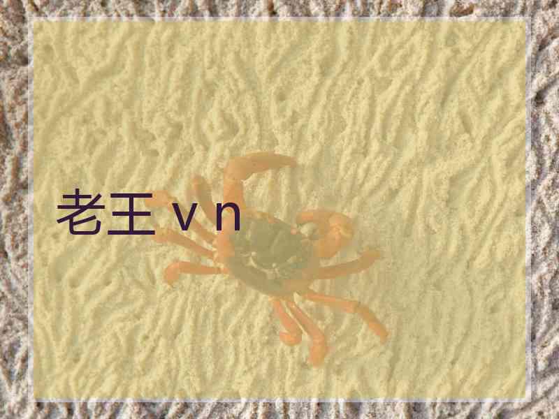老王 v n