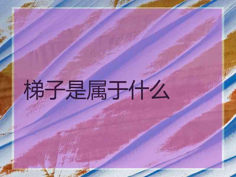 梯子是属于什么