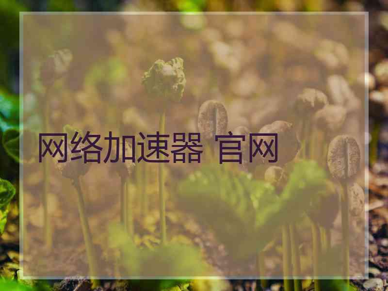 网络加速器 官网
