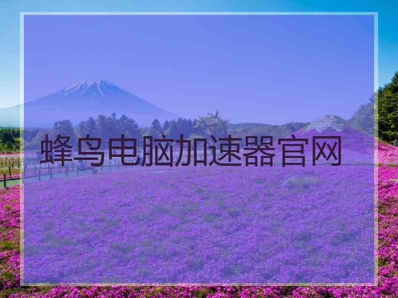 蜂鸟电脑加速器官网